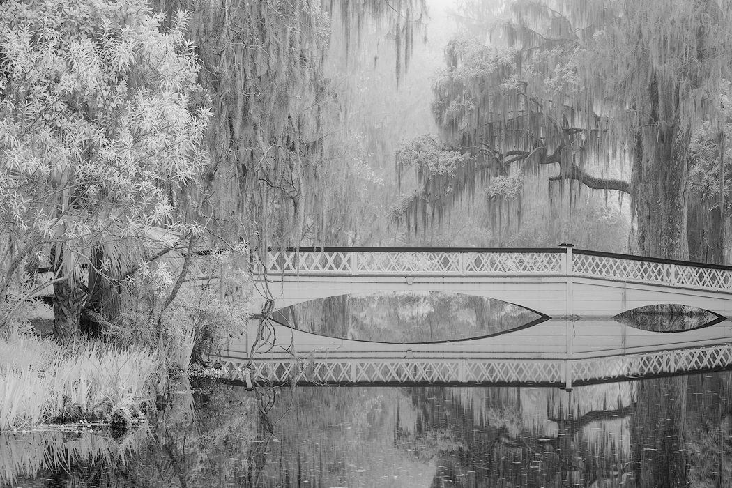 Tony Sweet Charleston Visual Artistry Photography Workshop with Susan Milestone