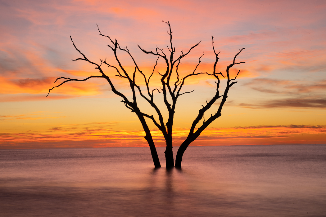Tony Sweet Charleston Visual Artistry Photography Workshop with Susan Milestone