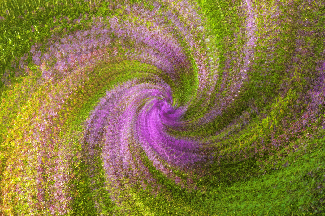 Tony Sweet Charleston Visual Artistry Photography Workshop with Susan Milestone