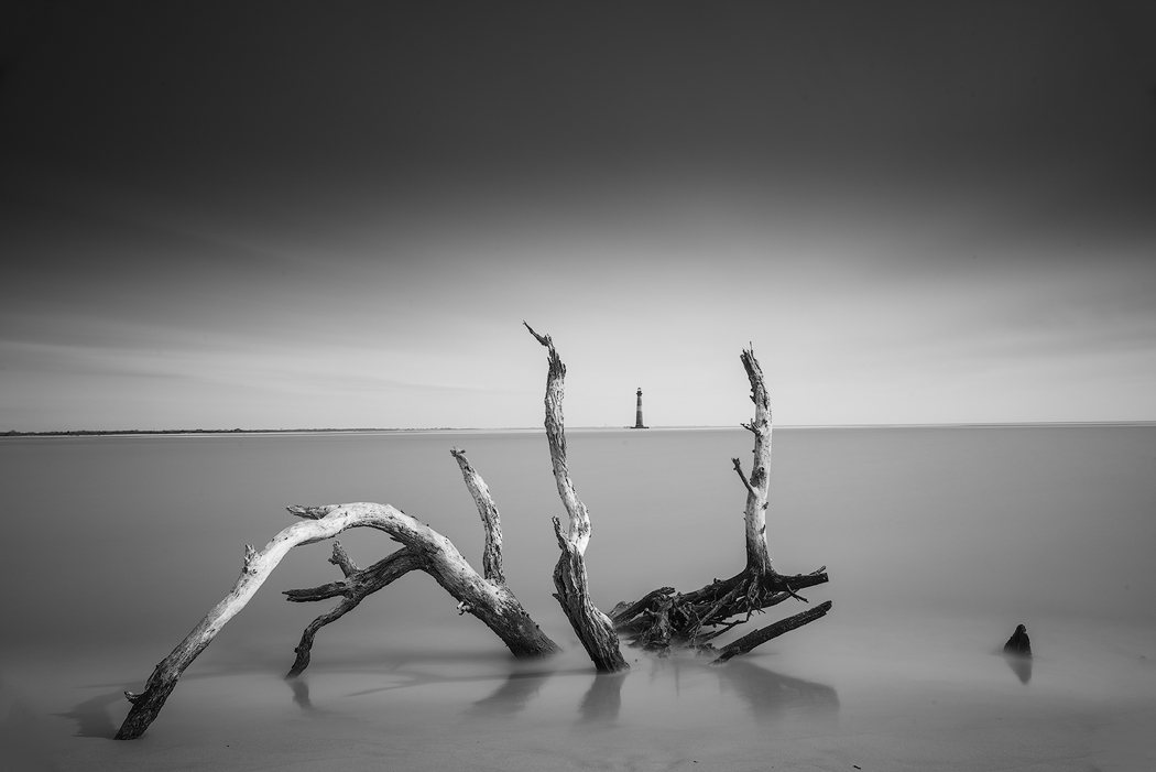 Tony Sweet Charleston Visual Artistry Photography Workshop with Susan Milestone