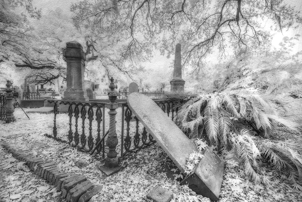 Tony Sweet Charleston Visual Artistry Photography Workshop with Susan Milestone