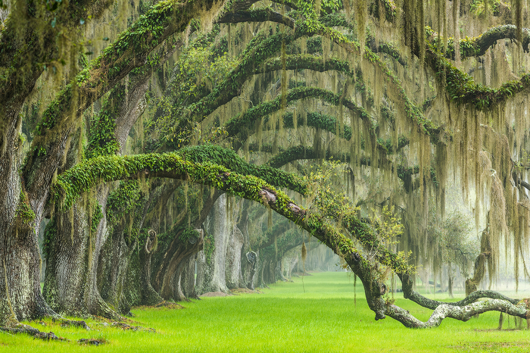 Tony Sweet Charleston Visual Artistry Photography Workshop with Susan Milestone