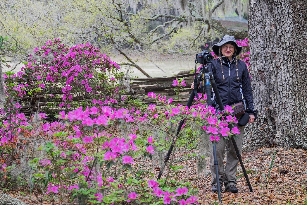 Susan Milestone Photographer