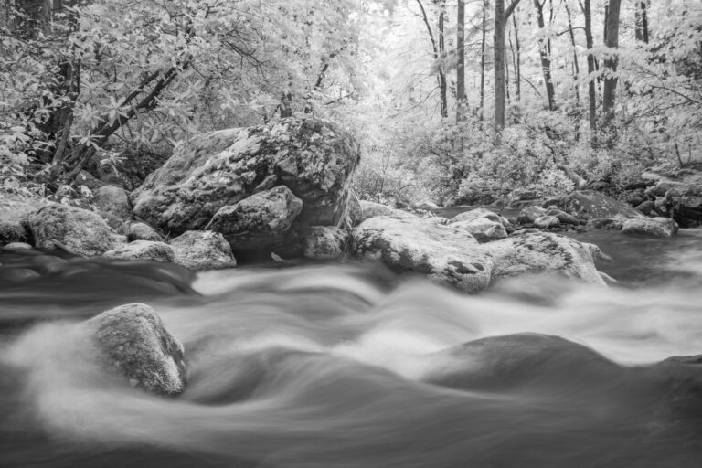 Tony Sweet Great Smoky Mountains Infrared Visual Artistry Photography Workshop with Susan Milestone