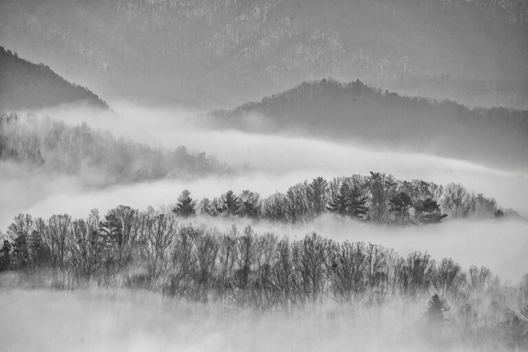 Tony Sweet Great Smoky Mountains Infrared Visual Artistry Photography Workshop with Susan Milestone