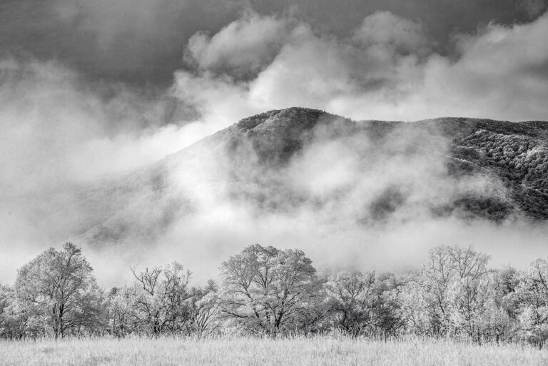 Tony Sweet Great Smoky Mountains Infrared Visual Artistry Photography Workshop with Susan Milestone