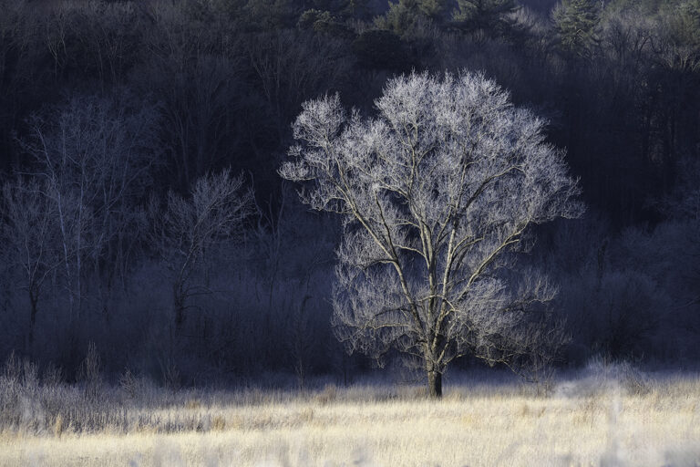 Tony Sweet Great Smoky Mountains Winter Visual Artistry Photography Workshop with Susan Milestone
