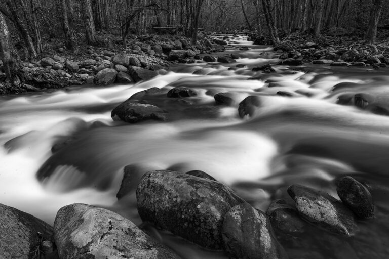 Tony Sweet Great Smoky Mountains Winter Visual Artistry Photography Workshop with Susan Milestone
