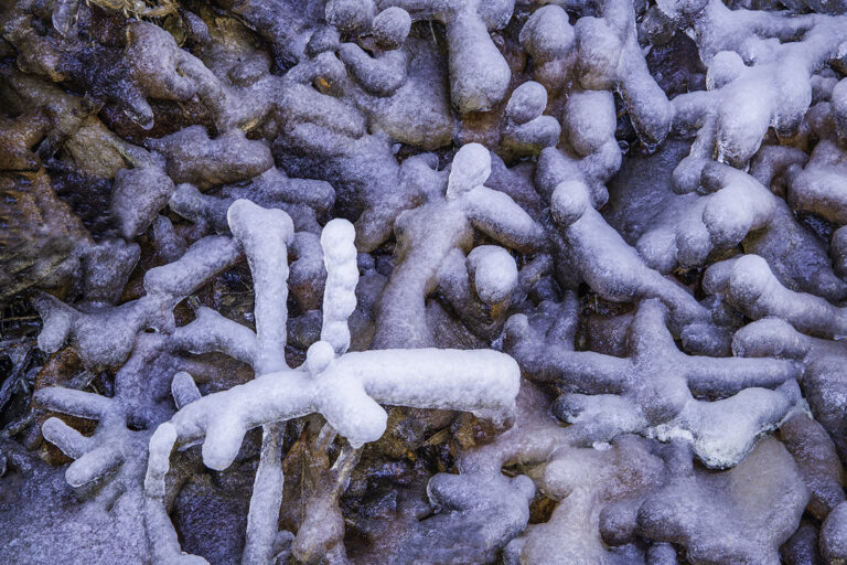 Tony Sweet Great Smoky Mountains Winter Visual Artistry Photography Workshop with Susan Milestone