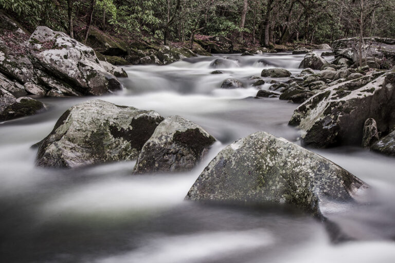 Tony Sweet Great Smoky Mountains Winter Visual Artistry Photography Workshop with Susan Milestone