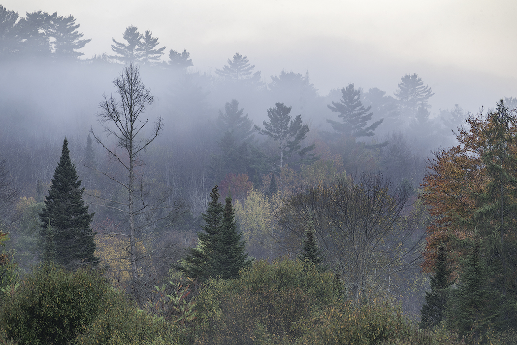 White Mountains New Hampshire Tony Sweet Visual Artistry Photography Workshop with Susan Milestone